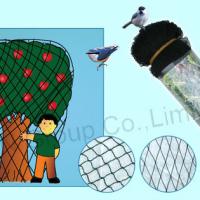 Large picture bird netting