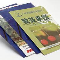 Large picture Softcover Book Printing in Beijing China