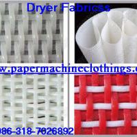 Large picture dryer fabric