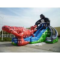 Large picture inflatable slide/sliding inflatables