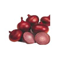 Large picture Onion Extract