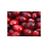 Large picture Cranberry Powder