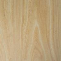 Large picture fancy plywood, texture elm veneer