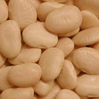 Large picture LIMA BEANS