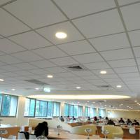Large picture pvc gypsum ceiling board