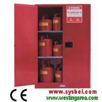 Large picture Combustible Cabinet
