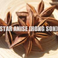 Large picture Viet Nam star aniseed