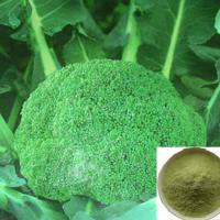 Large picture Broccoli extract