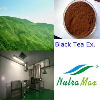 Large picture Stevia Extract 50%~97% Reb.A