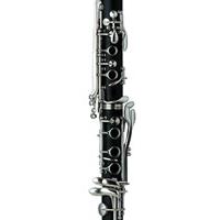 Large picture clarinet