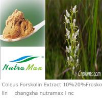 Large picture Coleus Forskolin Extract 10%,20%,98% Forskohlin