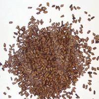Large picture Cassia Seed Extract