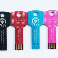 Large picture Key USB for LOGO Printed