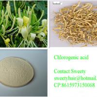 Large picture Chlorogenic Acid sweetyhuir(at)hotmail(dot)com