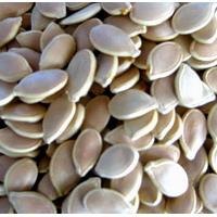Large picture Pumpkin seed P.E. sweetyhuir(at)hotmail(dot)com