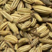 Large picture Fennel seed extract