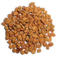 Large picture Fenugreek Extract