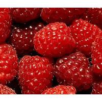 Large picture red raspberry powde