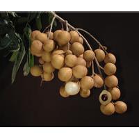 Large picture Longan aril extract