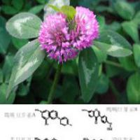 Large picture Red Clover Extract 8%-40%Isoflavones