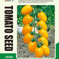 Large picture Golden tomato seed