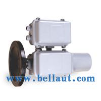 Large picture Electric actuator