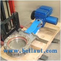 Large picture Electric control gate valve