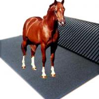 Large picture horse stall mat