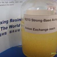 Large picture Strong-Base Acrylic Anion Exchange resin