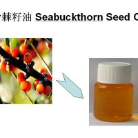 Large picture seabuckthorn fruit oil by CO2