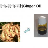 Large picture ginger oleoresin