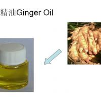 Large picture Ginger Essential Oil