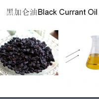 Large picture Black Pepper Oil By SFE-CO2