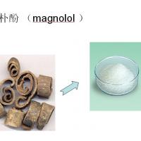 Large picture magnolia bark extract 50%-98% by SFE-CO2