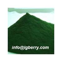 Large picture Spirulina Extract
