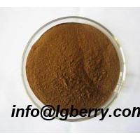 Large picture Simpleleaf Shrub Chasteberry Fruit Extract