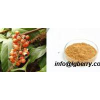 Large picture Guarana Extract