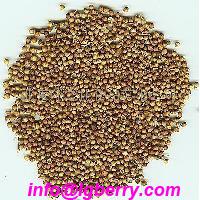 Large picture Coriander Seed Extract