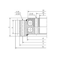 Large picture double row ball slewing bearing
