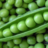 Large picture Green Peas