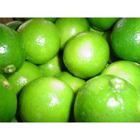 Large picture Fresh lime