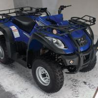 Large picture 250cc Utility ATV