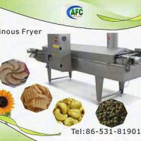 Large picture Continuous Fryer