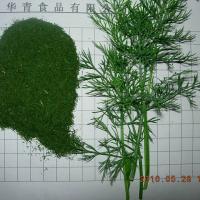 Large picture dried dill