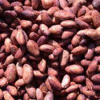 Large picture Cacao Beans