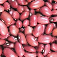 Large picture Chinese small red kidney beans