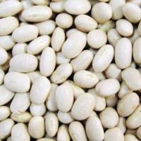 Large picture Small White Kidney Beans Japanese Type