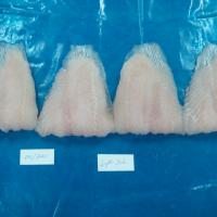 Large picture FROZEN PANGASIUS WELL TRIMMED FILLET