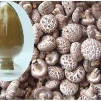 Large picture High purity lentinus edodes extract-No dextrin