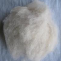 Large picture dehaired pashmina fiber